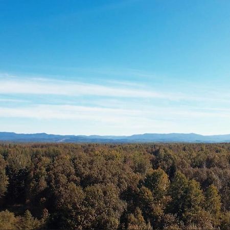 Au Pied Des Monts-Valin, Hebergement Touristique Saint-Honore Luaran gambar